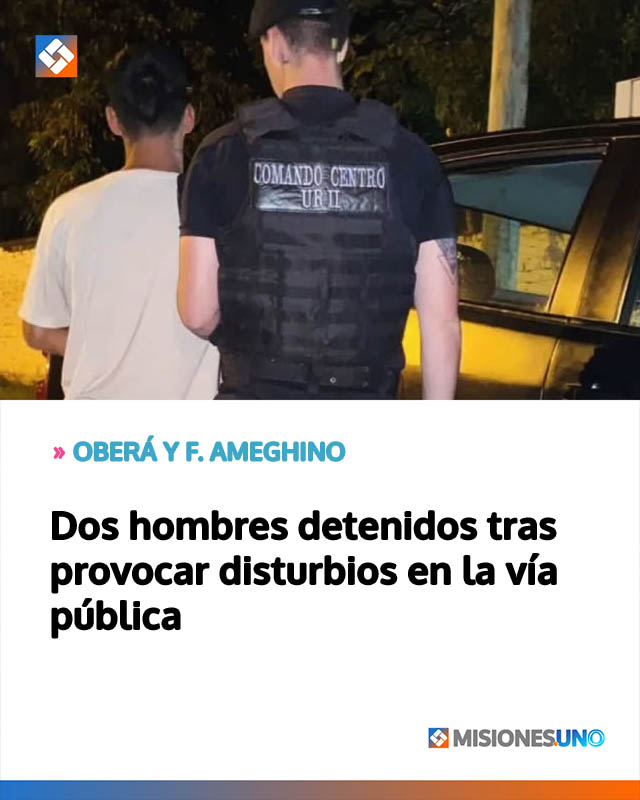Dos hombres detenidos tras provocar disturbios en la vía pública
