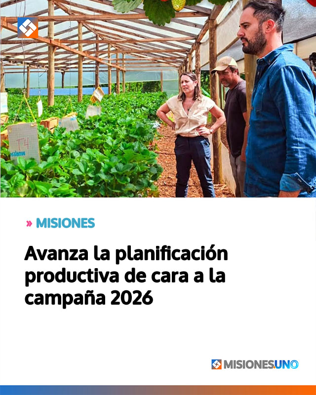 Avanza la planificación productiva de cara a la campaña 2026