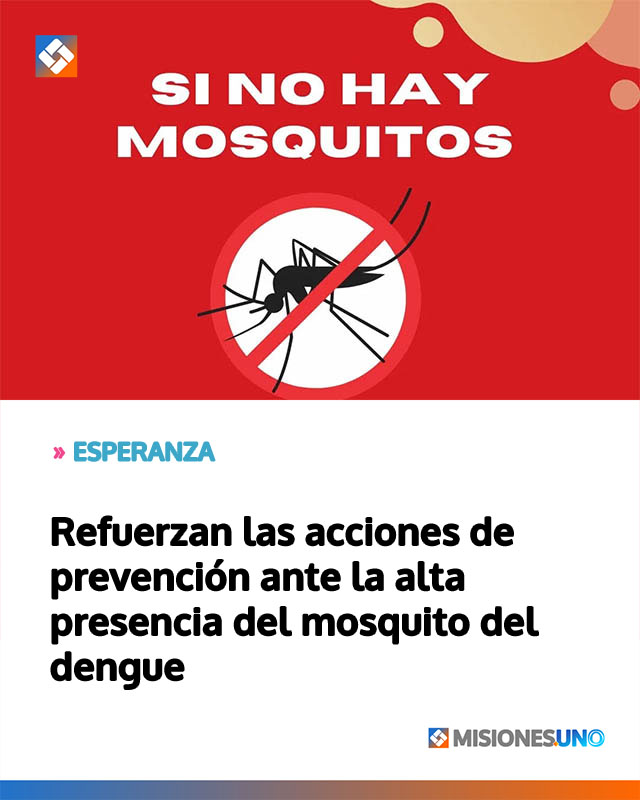 Refuerzan las acciones de prevención ante la alta presencia del mosquito del dengue