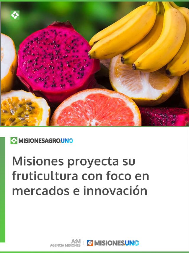 Misiones proyecta su fruticultura con foco en mercados e innovación