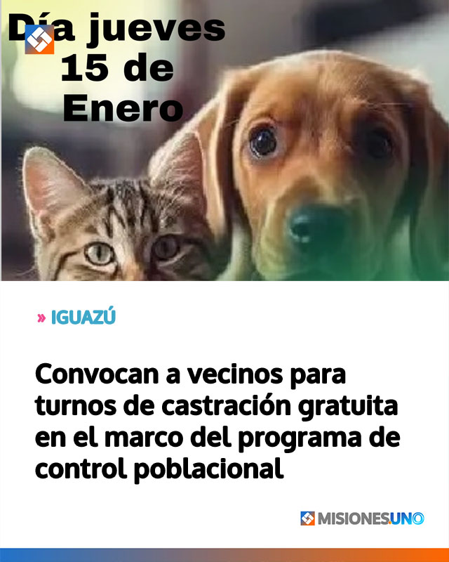 IGUAZÚ: Convocan a vecinos para turnos de castración gratuita en el marco del programa de control poblacional