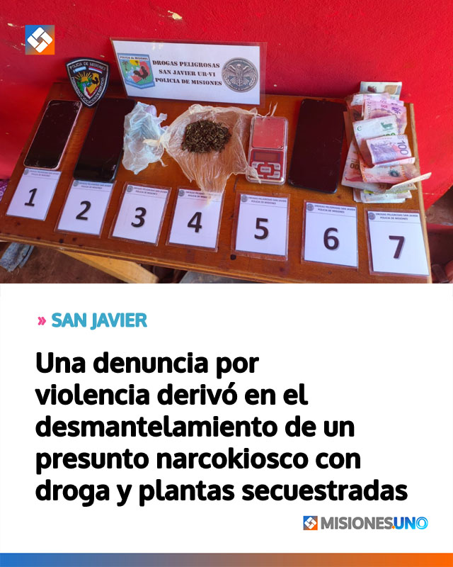 SAN JAVIER: Una denuncia por violencia derivó en el desmantelamiento de un presunto narcokiosco con droga y plantas secuestradas