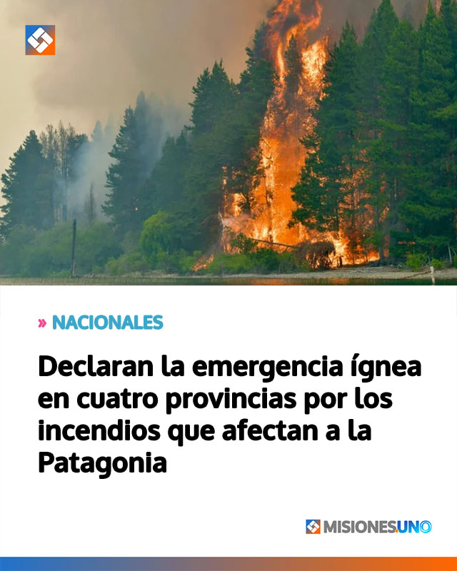 Declaran la emergencia ígnea en cuatro provincias por los incendios que afectan a la Patagonia