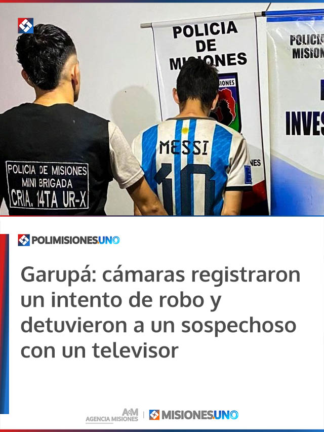 Garupá: cámaras registraron un intento de robo y detuvieron a un sospechoso con un televisor