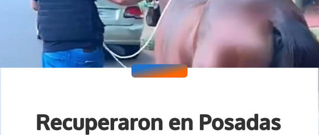 Recuperaron en Posadas un caballo robado en Garupá que era ofrecido en Marketplace