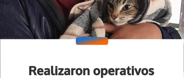 Realizaron operativos gratuitos de castración de mascotas en Garupá